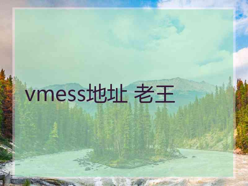 vmess地址 老王