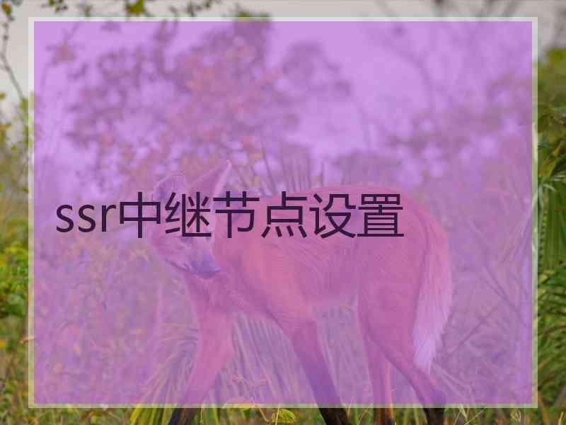 ssr中继节点设置