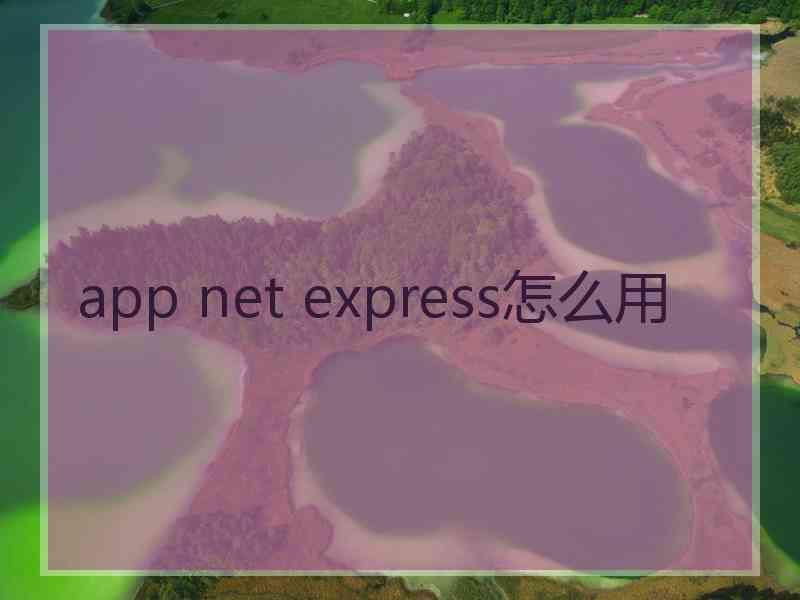 app net express怎么用