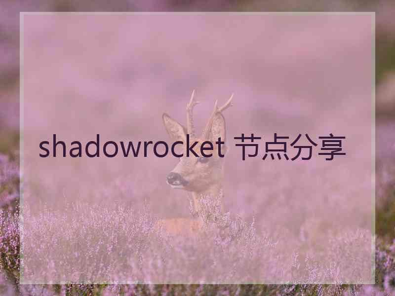 shadowrocket 节点分享