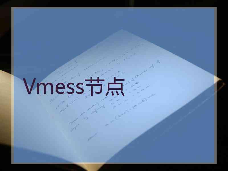 Vmess节点