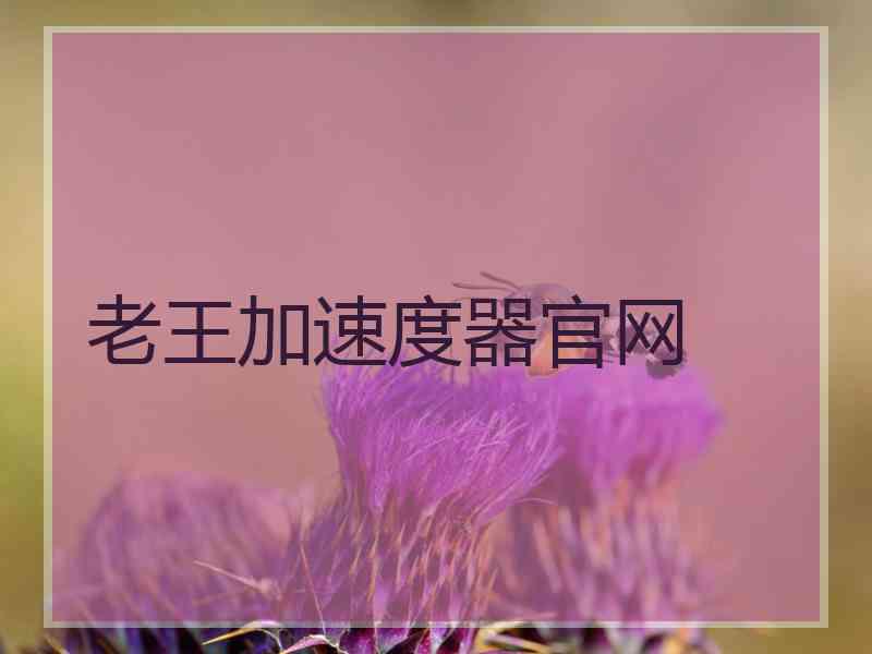 老王加速度器官网