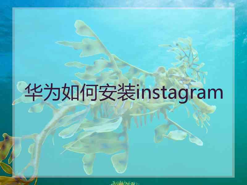 华为如何安装instagram