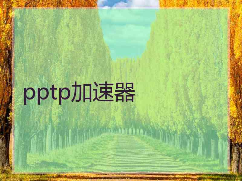 pptp加速器