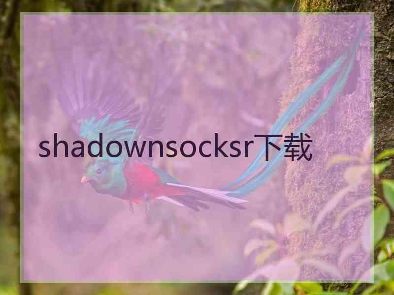 shadownsocksr下载