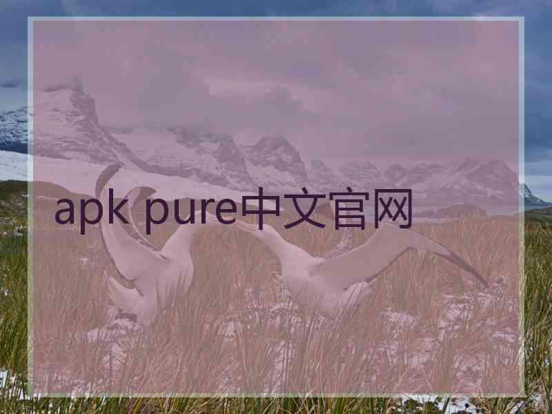 apk pure中文官网