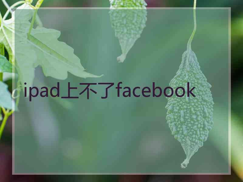 ipad上不了facebook