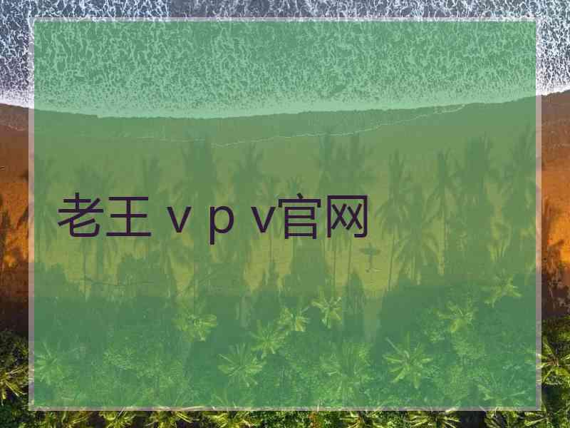 老王 v p v官网