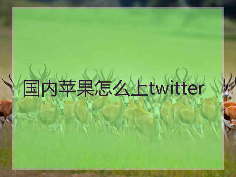 国内苹果怎么上twitter