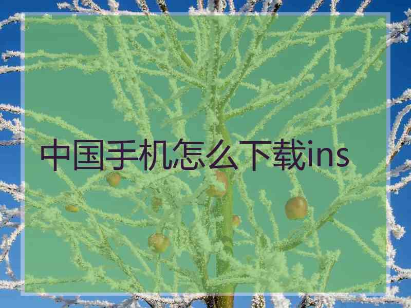 中国手机怎么下载ins