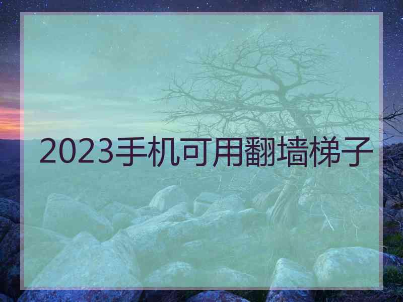 2023手机可用翻墙梯子