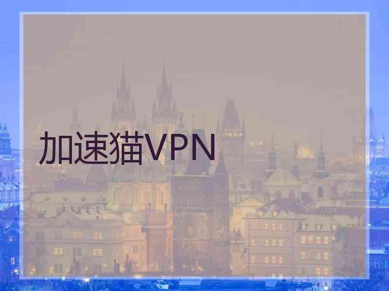 加速猫VPN