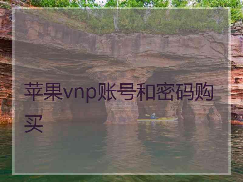 苹果vnp账号和密码购买