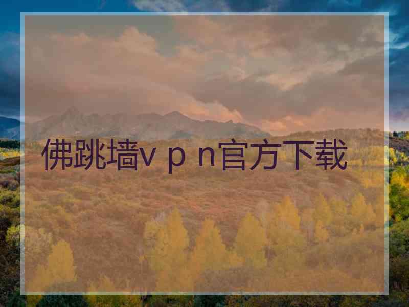 佛跳墙v p n官方下载