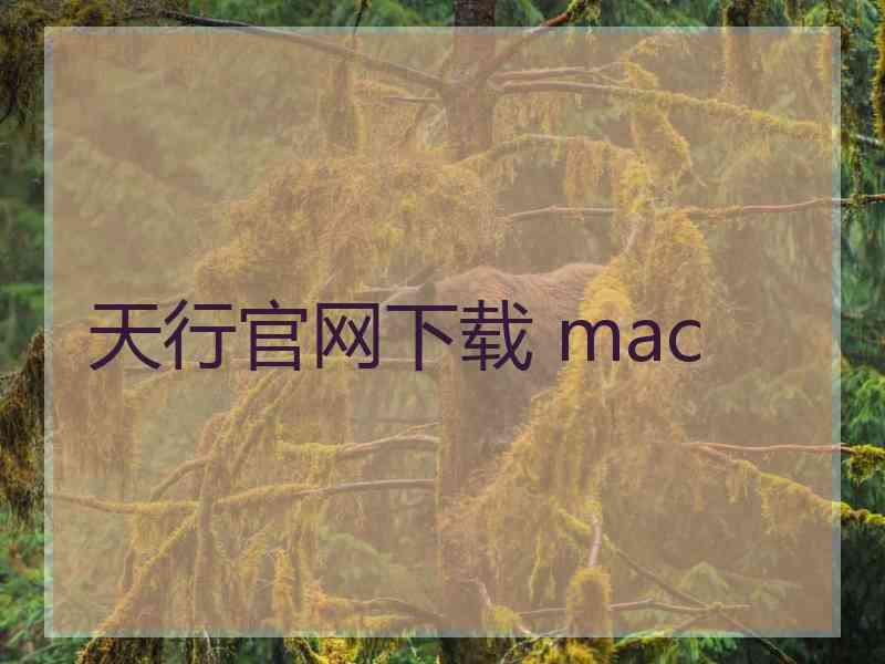 天行官网下载 mac