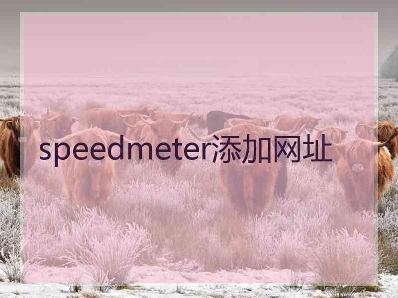 speedmeter添加网址