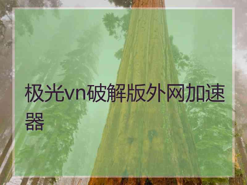 极光vn破解版外网加速器