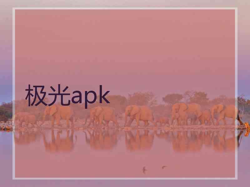 极光apk