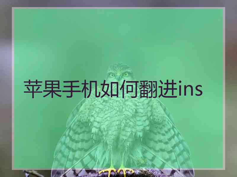 苹果手机如何翻进ins