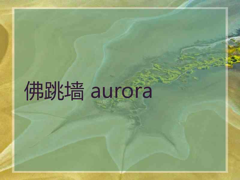 佛跳墙 aurora