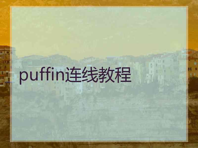 puffin连线教程