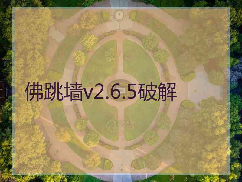 佛跳墙v2.6.5破解