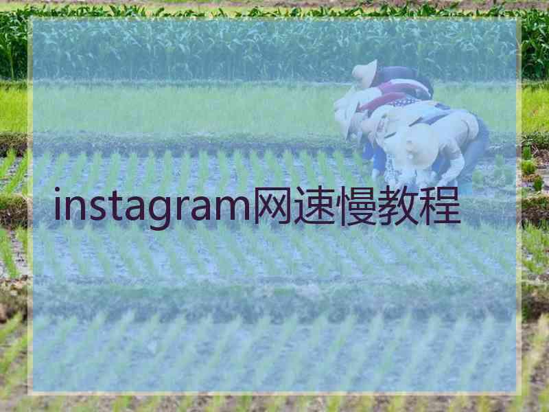 instagram网速慢教程