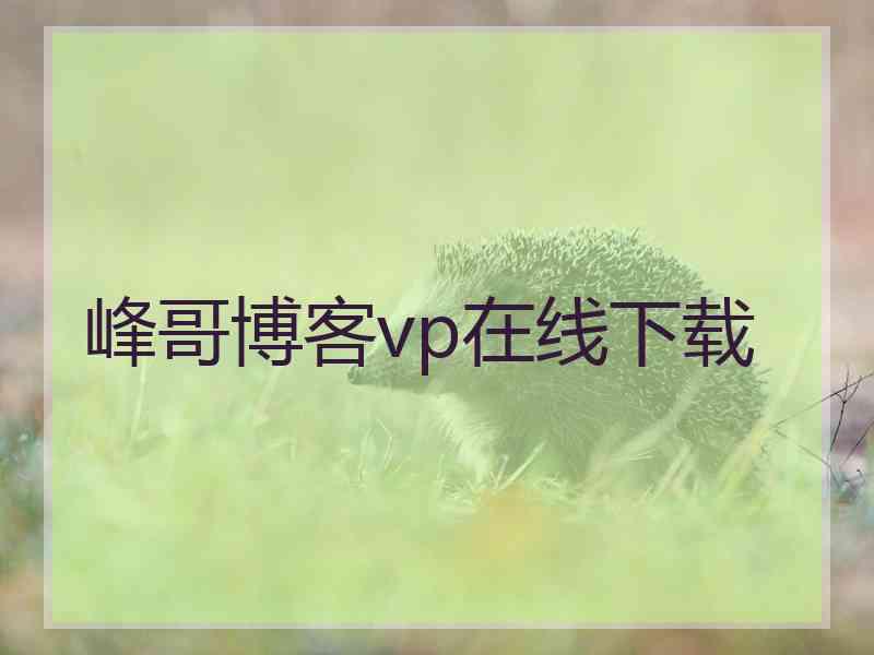 峰哥博客vp在线下载