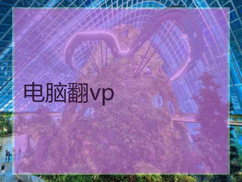 电脑翻vp