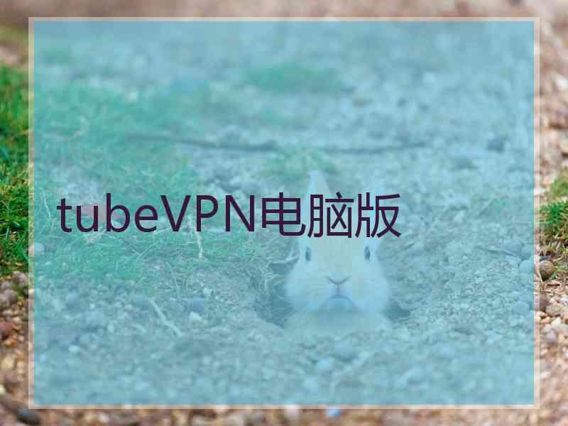 tubeVPN电脑版