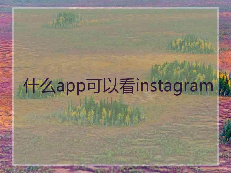 什么app可以看instagram