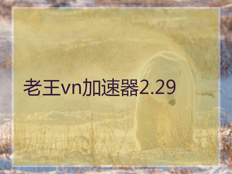 老王vn加速器2.29