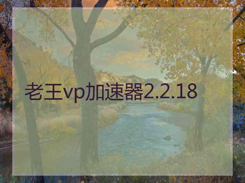 老王vp加速器2.2.18