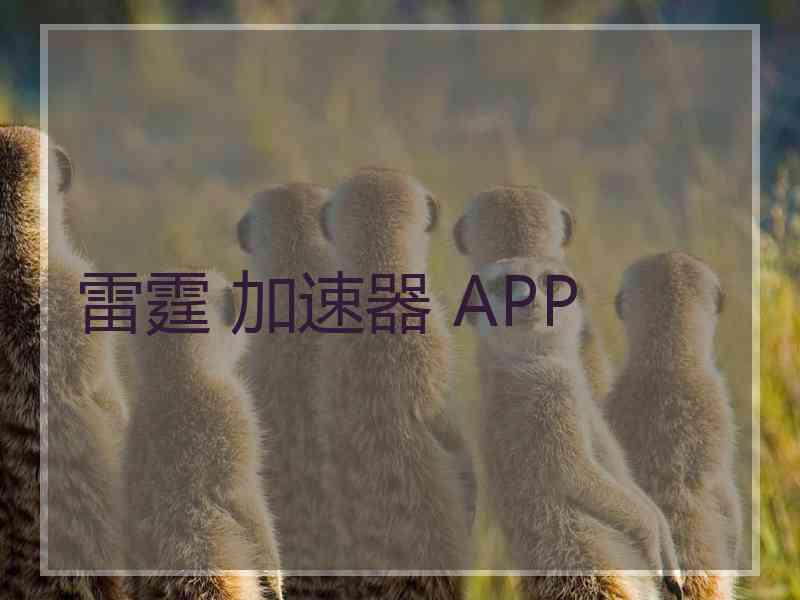 雷霆 加速器 APP