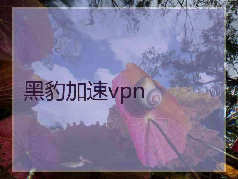 黑豹加速vpn