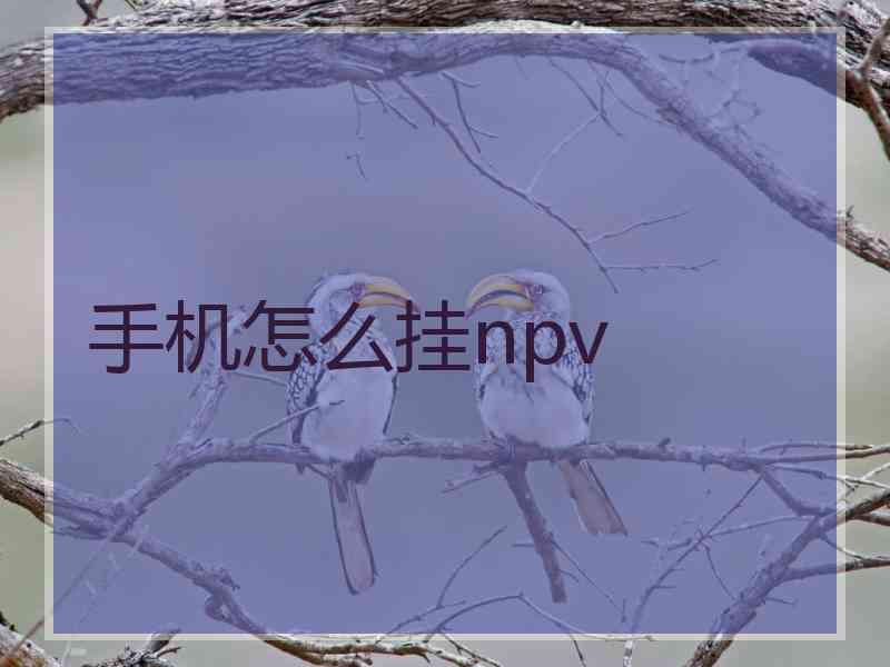 手机怎么挂npv