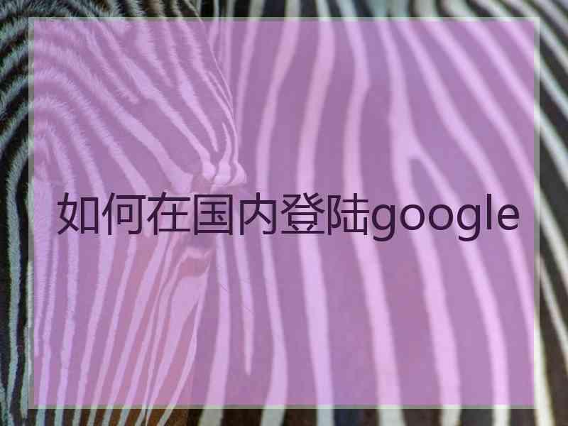 如何在国内登陆google