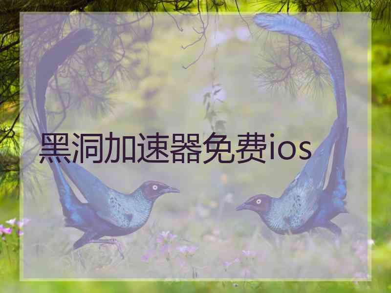 黑洞加速器免费ios