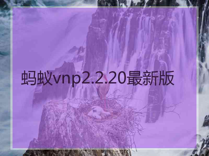 蚂蚁vnp2.2.20最新版