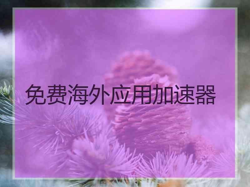 免费海外应用加速器