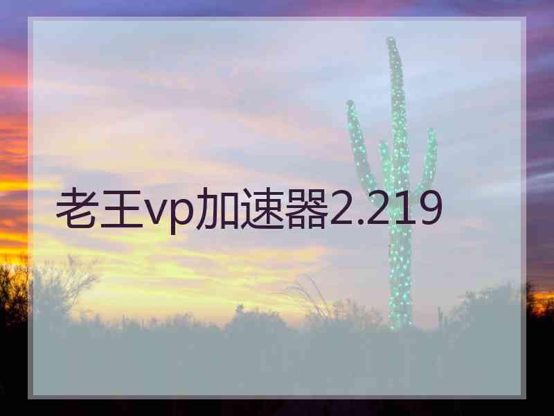 老王vp加速器2.219