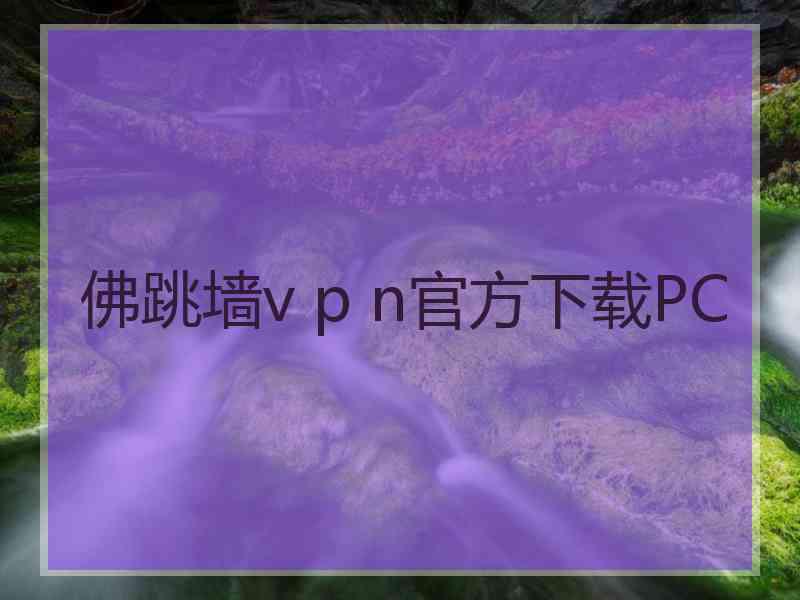 佛跳墙v p n官方下载PC