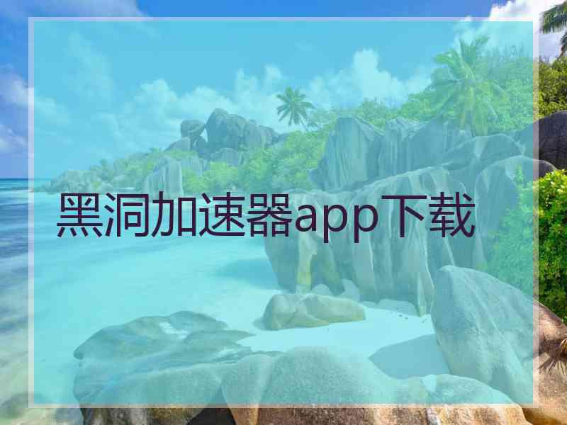 黑洞加速器app下载