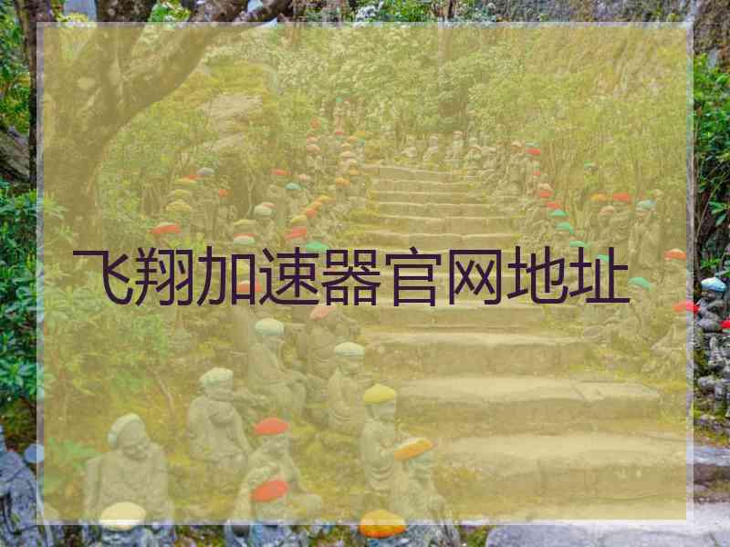 飞翔加速器官网地址