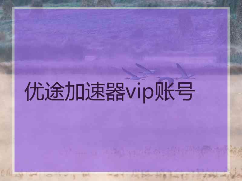 优途加速器vip账号