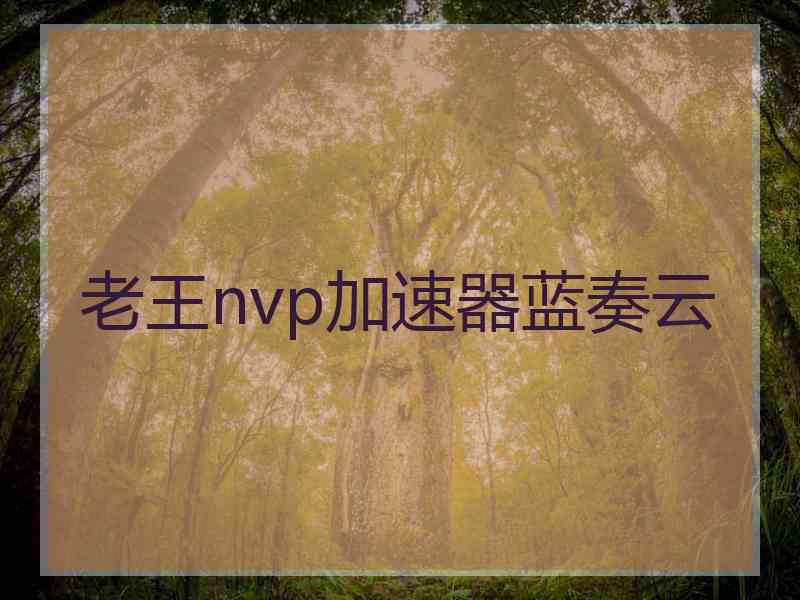 老王nvp加速器蓝奏云