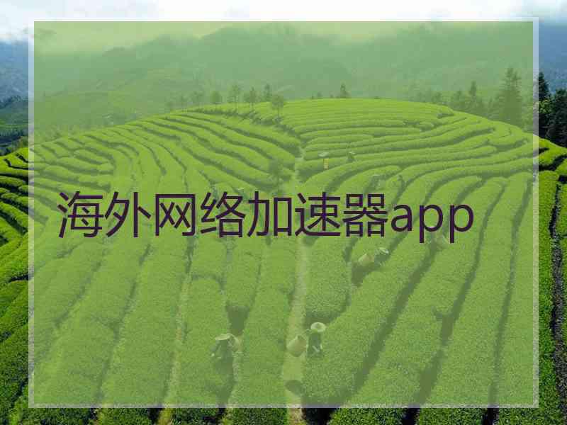 海外网络加速器app