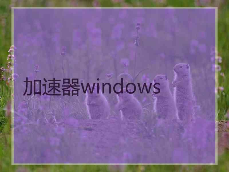 加速器windows