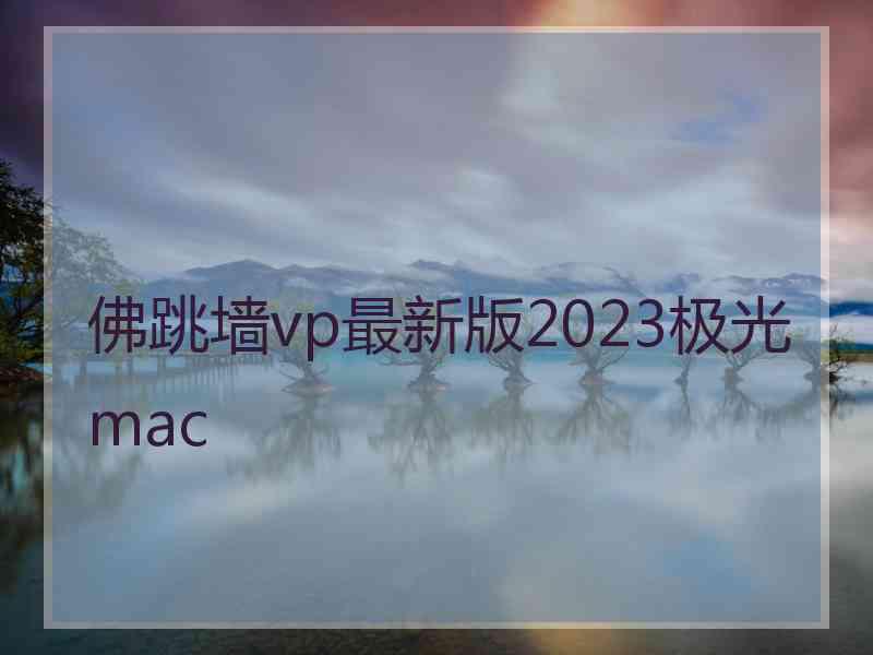 佛跳墙vp最新版2023极光 mac