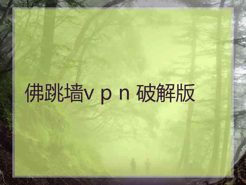 佛跳墙v p n 破解版